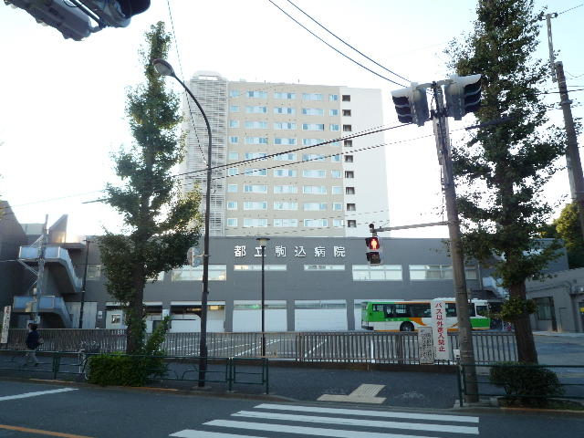 がん・感染症センター都立駒込病院 (120m)