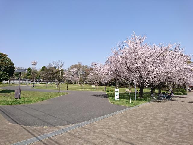 都立城北中央公園 (300m)