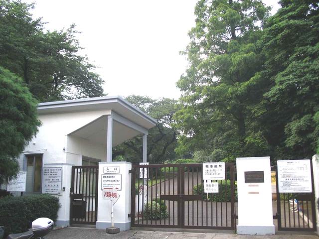 小石川植物園 (146m)