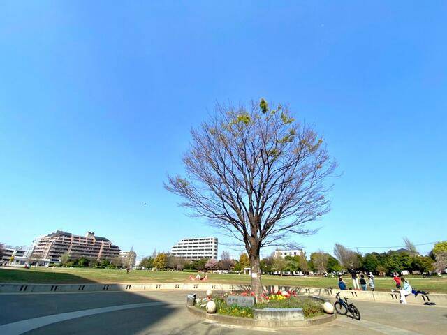 杉並区立桃井原っぱ公園 (1,706m)