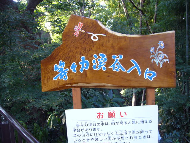 等々力渓谷入口 (300m)