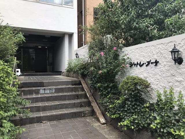 現地（外観）