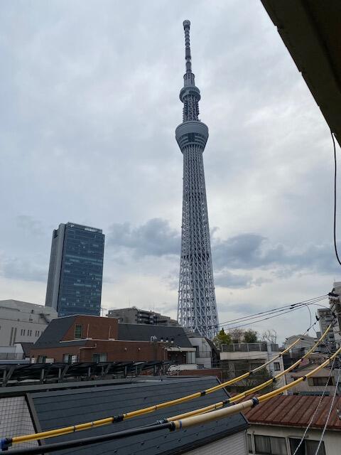 住戸からの眺望