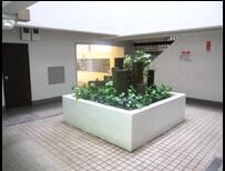 現地（外観）