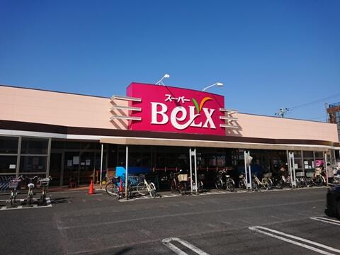 ベルクス墨田店 (350m)