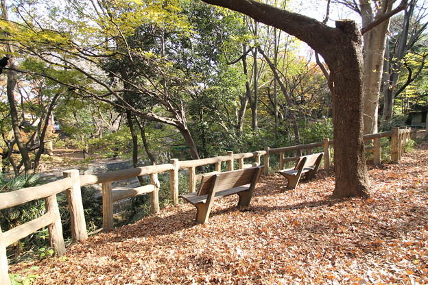 和田掘公園 (317m)