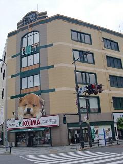 エルシー八王子 (150m)