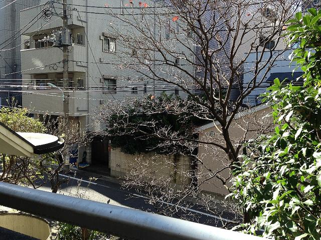 住戸からの眺望