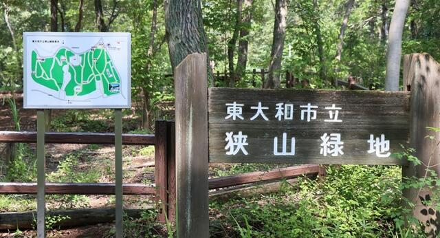 東大和緑地 (522m)