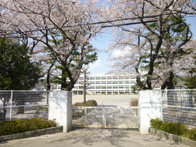 府中市立 第3小学校 桜の名所 (300m)