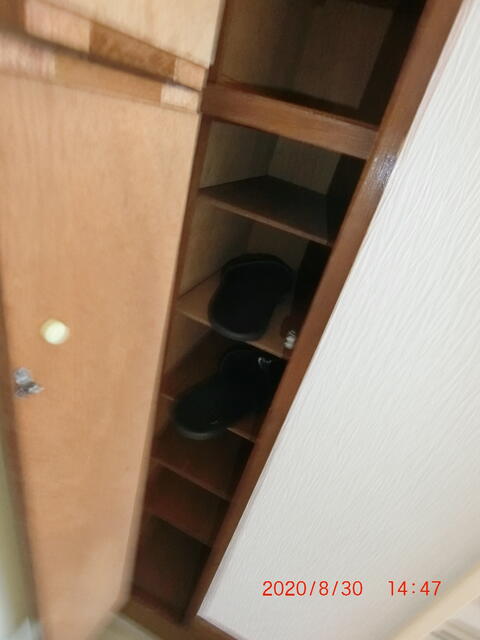 靴入れ。縦に一足ずつ入れるタイプです