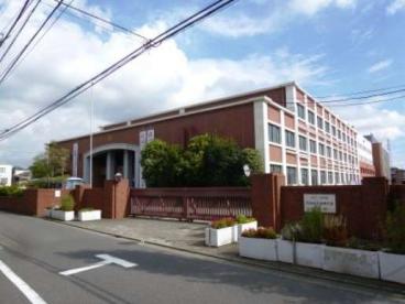 私立日本女子体育大学 (1,258m)