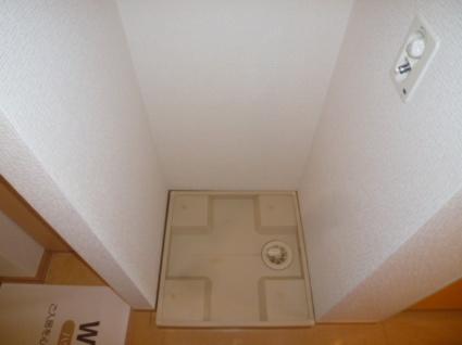 室内洗濯機置場