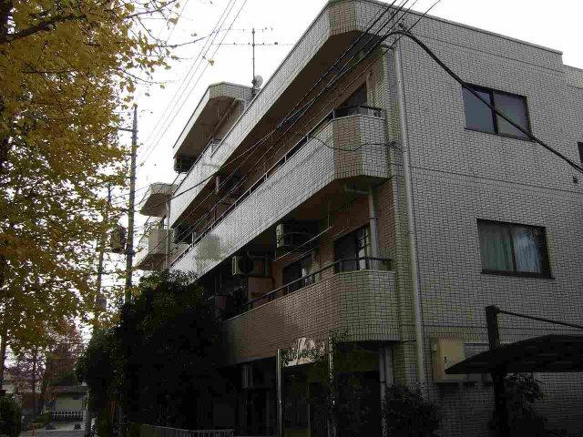 現地（外観）
