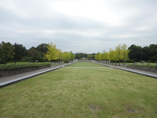 国営昭和記念公園 (1,258m)