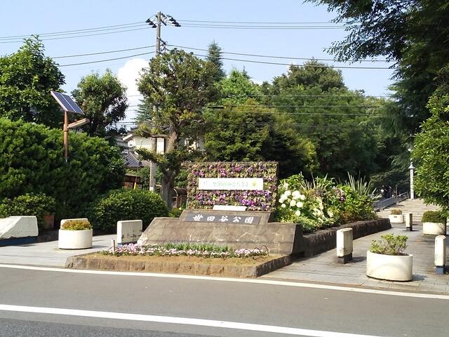世田谷公園 (500m)