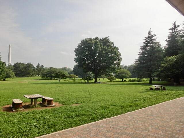 光が丘公園 (350m)