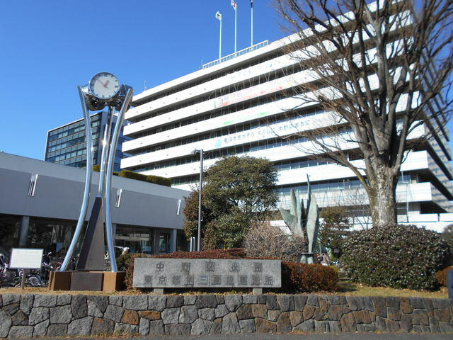 中野区役所 (550m)