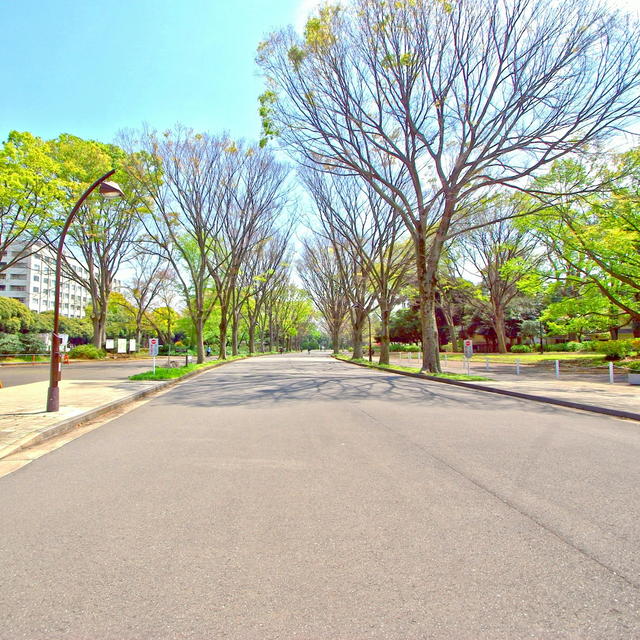 駒沢オリンピック公園 (800m)
