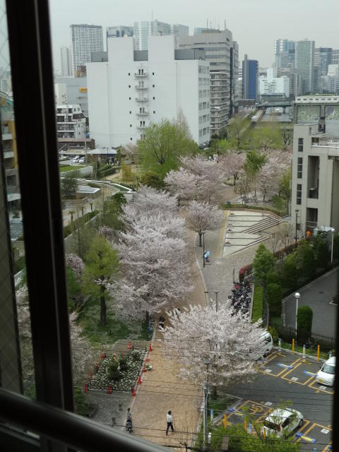 リビング／春には窓から桜が見えます（※別室参考写真）