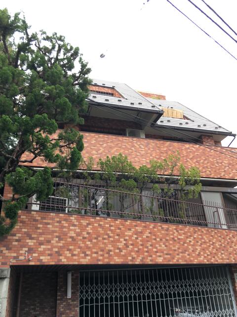 現地（外観）
