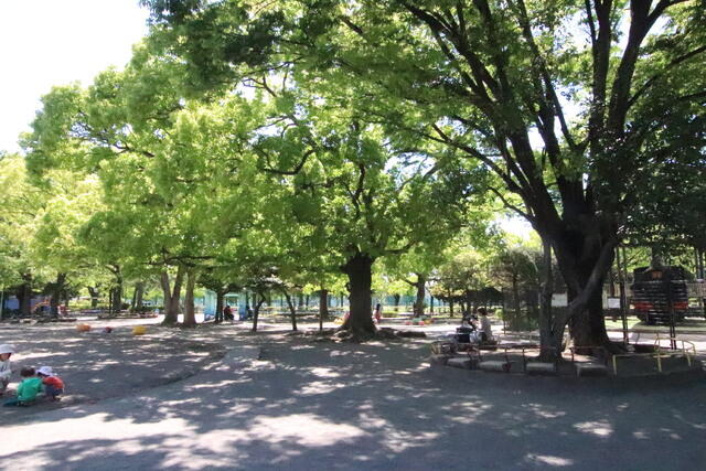 萩中公園 (240m)