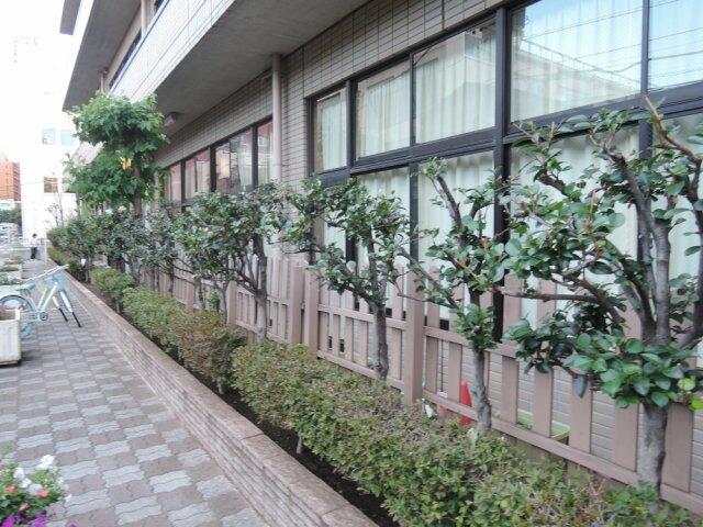 荒川区立 ひぐらし小学校 (496m)