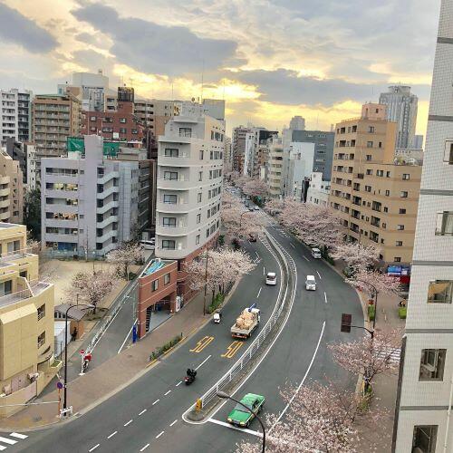 住戸からの眺望