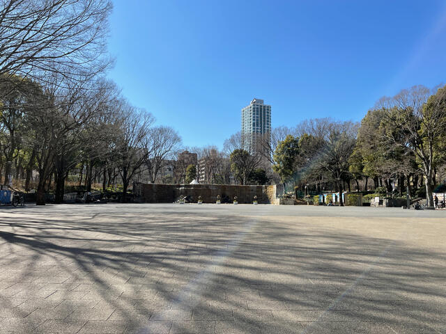 新宿中央公園 (924m)