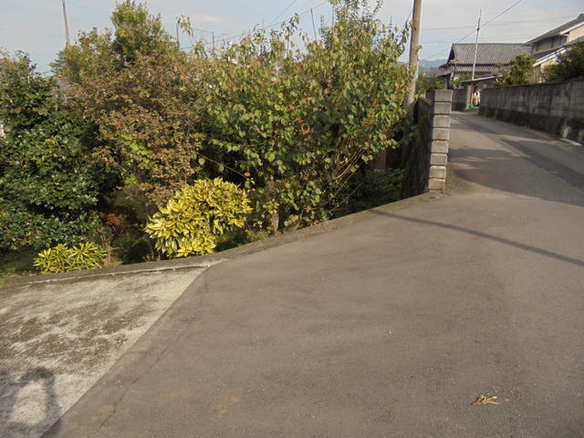 全面市道