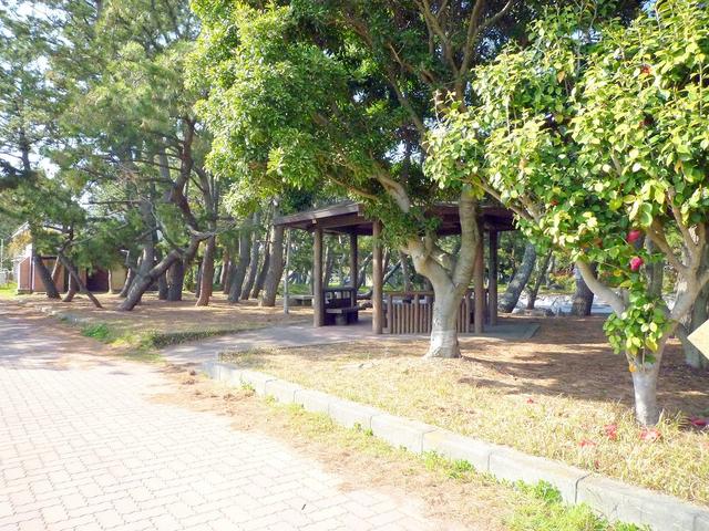 自由広場乙女園公園 (1,418m)