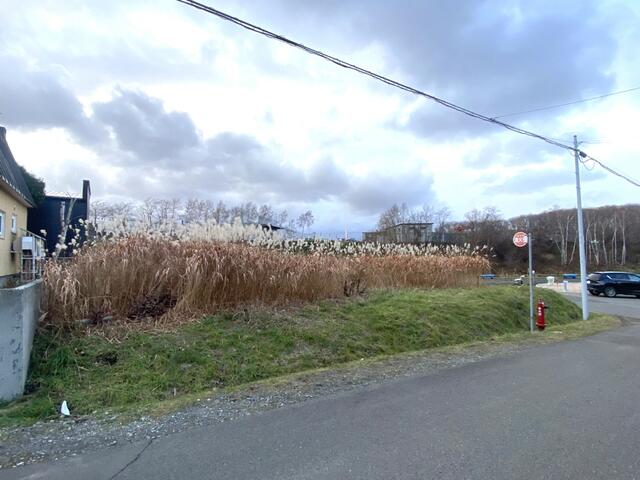 現地土地／全体写真　東向き