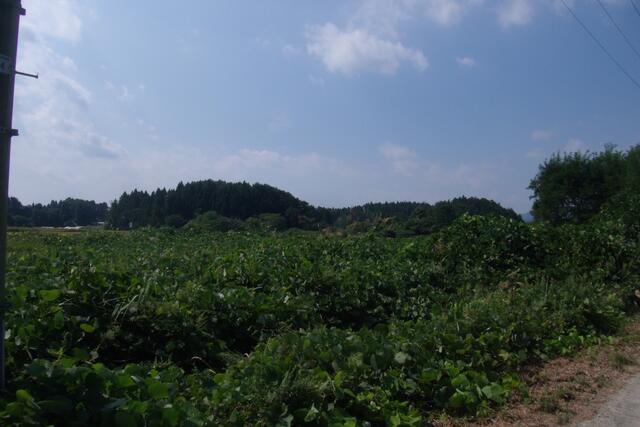 現地土地