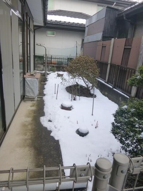 庭