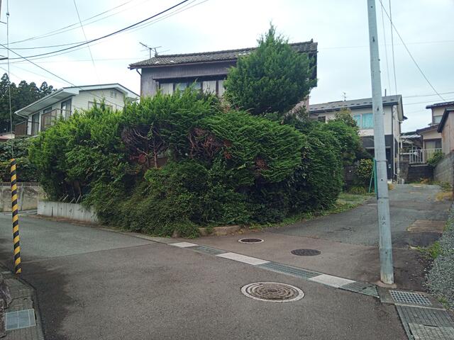 現地土地