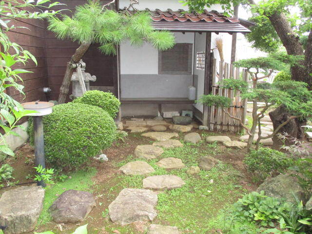 庭