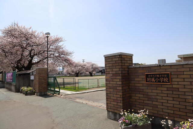 岩手大学教育学部附属小学校 (391m)