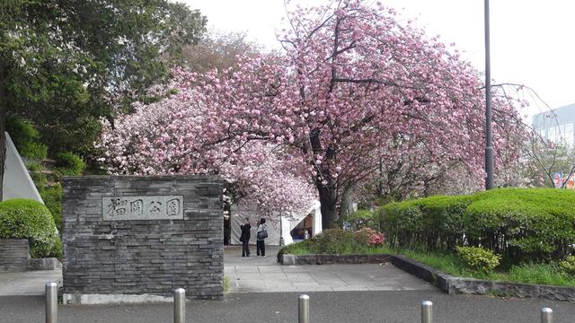 榴岡公園 (500m)