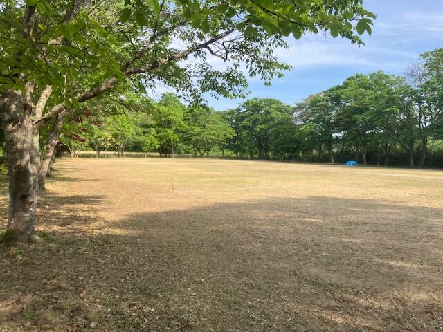 多目的グランド。運動会やサッカー場、キャンプ場としても利用で／撮影日2025-04-15