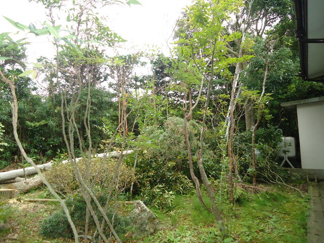 detached 宮城県遠田郡涌谷町字長柄町 地図を見る