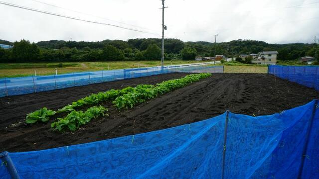 detached 宮城県柴田郡川崎町大字支倉字上針 地図を見る