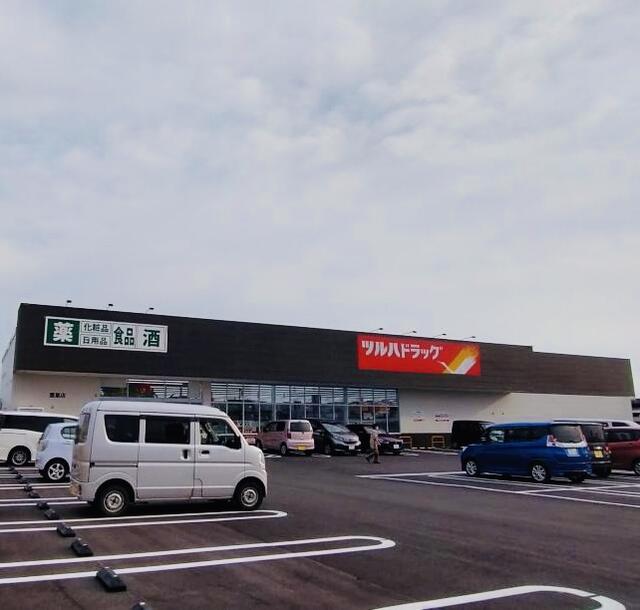 ツルハドラッグ鷹巣店 (356m)