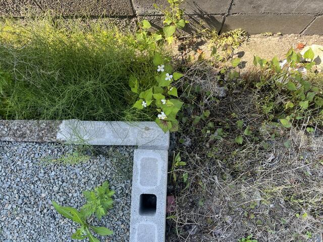 現地土地／北西角境界