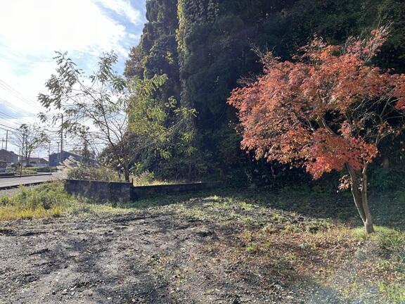 現地土地／北側から撮影