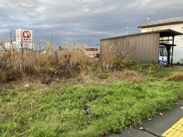 現地土地