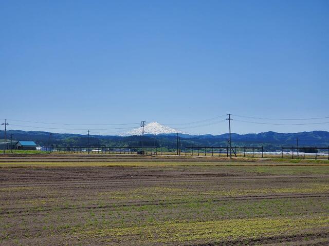 detached 秋田県雄勝郡羽後町字稲荷 地図を見る