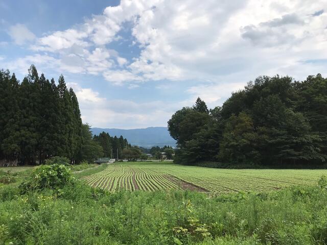 detached 山形県西置賜郡白鷹町大字横田尻