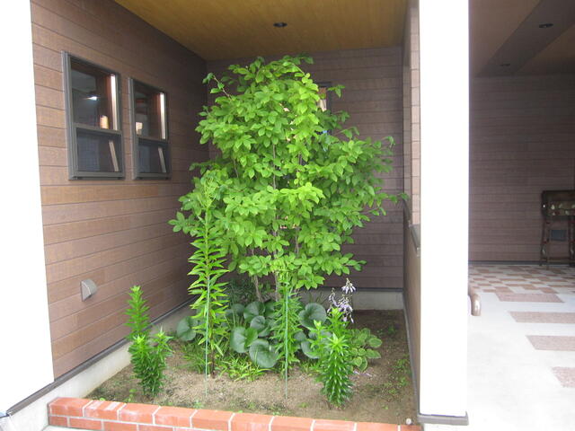 detached 山形県東置賜郡川西町大字西大塚