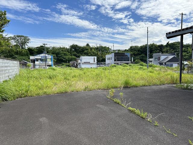 現地土地