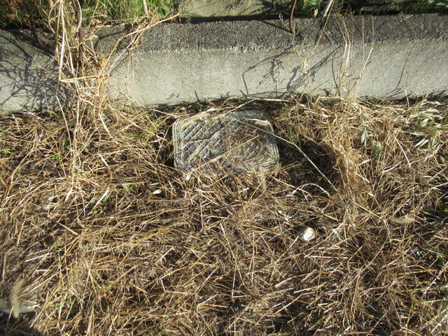 上水道引き込みあり